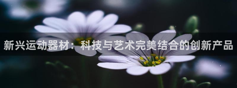 fb体育娱乐首页网站大全:新兴运动器材:科技与艺术完美结合的